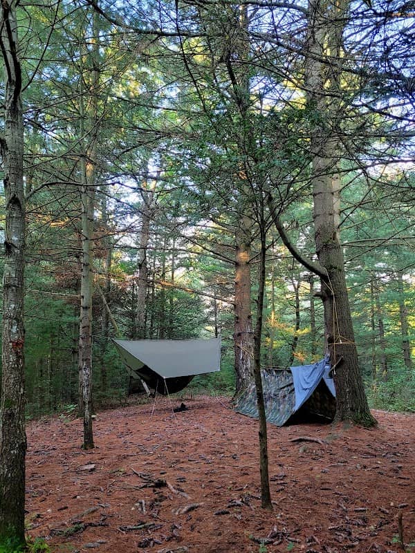 Primitive Campsite #12 - Image 1