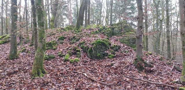 Gipfel Himmelberg auf 332 m - Image 1