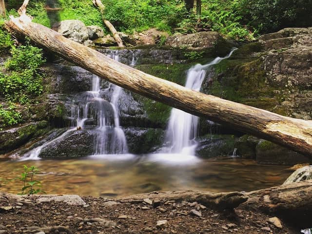Dunnfield Creek Natural Area - Image 2