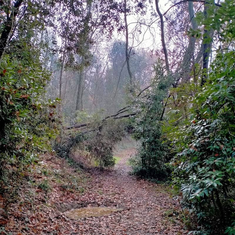 Parco Mediceo - Image 3