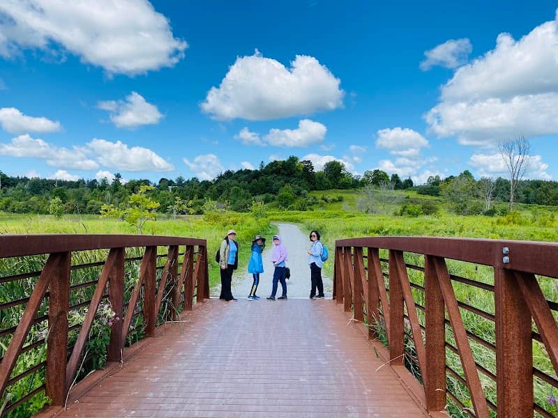 Nokiidaa Trail - Image 2