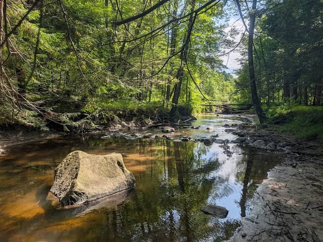 Mill Brook Preserve South Trailhead - Image 2