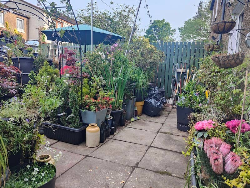 Drumnessie Gardens - Image 2