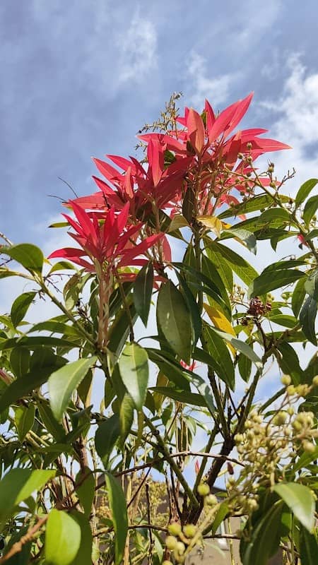 Drumnessie Gardens - Image 1