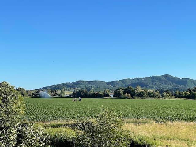 Reuter Farms Park - Image 1