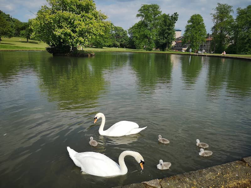 Ferguslie Gardens - Image 2