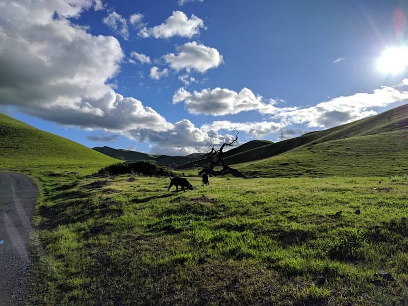 Stoneman Trailhead - Image 2