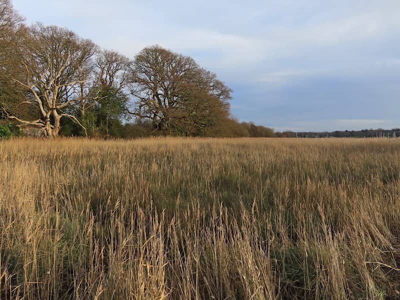 Hackett's Marsh LNR - Image 1