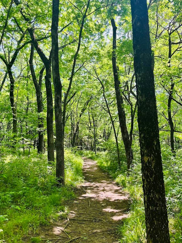 Lawrence Nature Park - Image 2