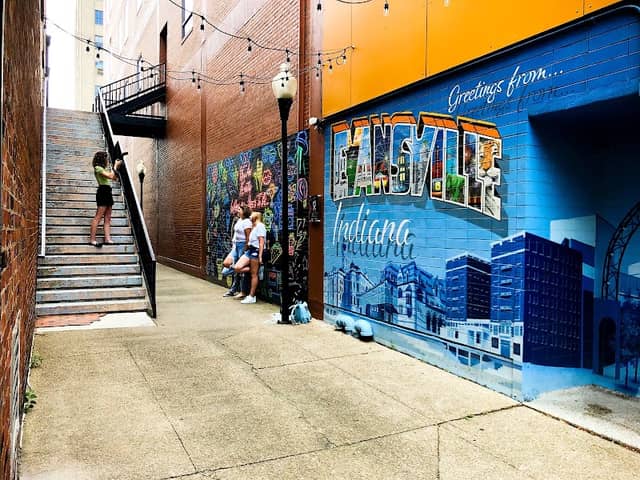 Self.e Alley (Evansville Mural Art) - Image 2