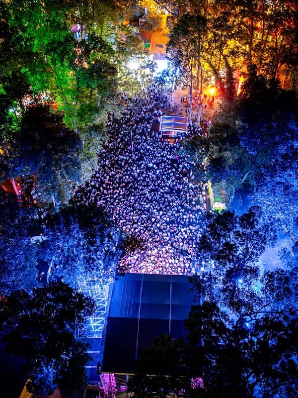 CODRU Festival - Image 2