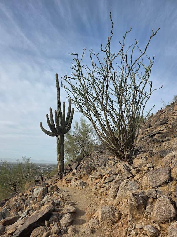 Peoria Sunrise Mountain Preserve - Image 3