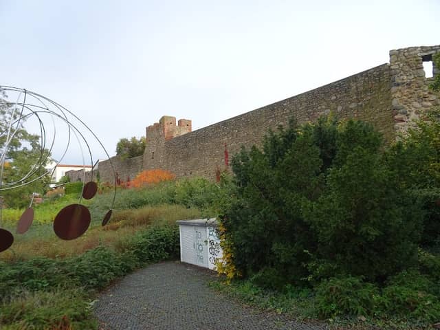 Talerbaum - Image 1