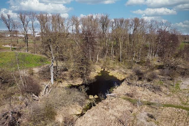 Geologischer Lehrpfad Grimmensee Langenau - Image 1