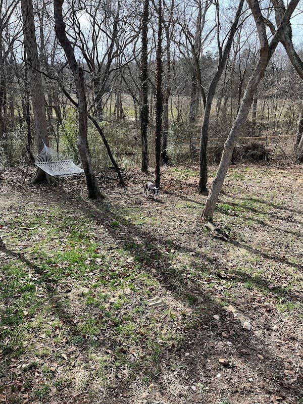 Captain's Retreat at Bear Creek - Image 2