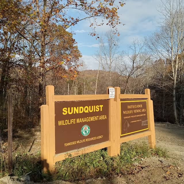 Hatfield Knob Viewing Tower - Image 2