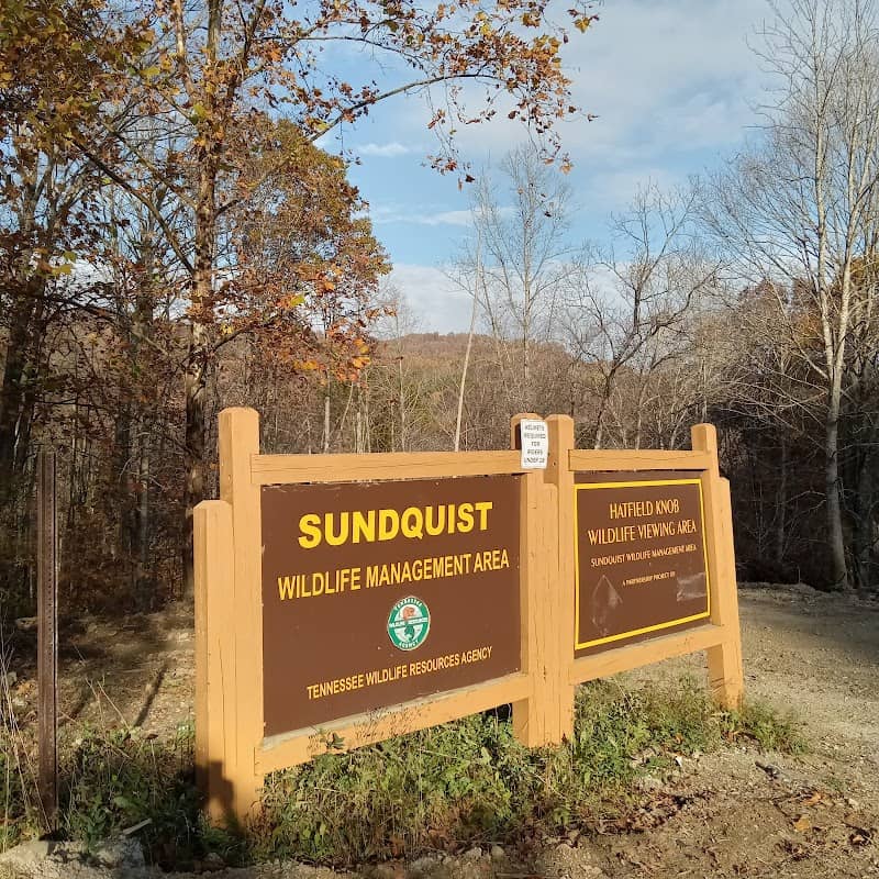 Hatfield Knob Viewing Tower - Image 2