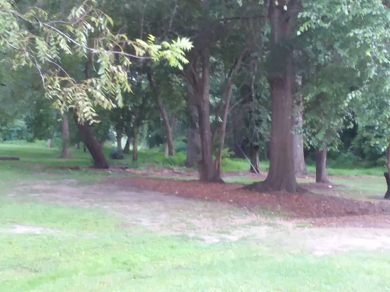James A. Campbell Park - Image 3