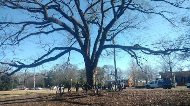 Alpharetta City Parks & Rec - Image 2