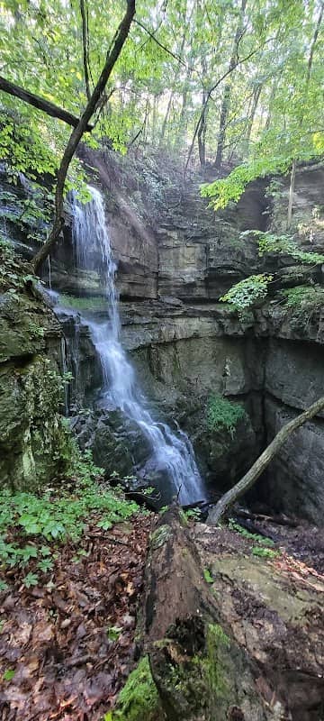 Lost Sink Falls - Image 1
