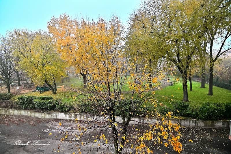 Parco Alessandrini - Image 1