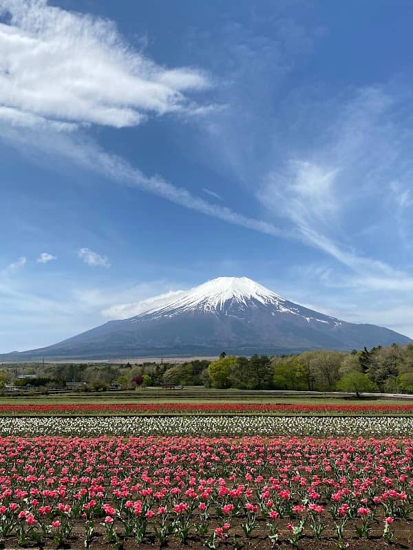 Yamanakako Hana-no-miyako Park Seiryu-no-sato - Image 2