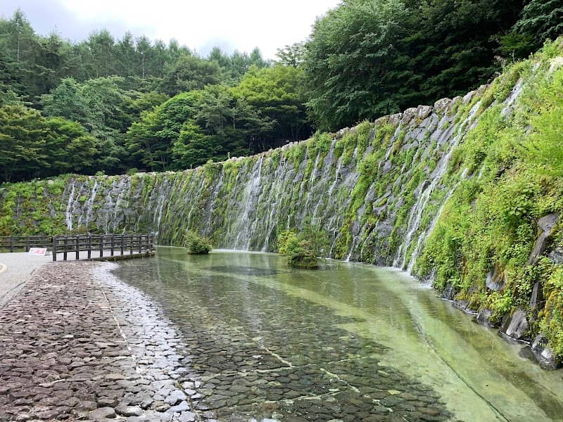 Yamanakako Hana-no-miyako Park Seiryu-no-sato - Image 3