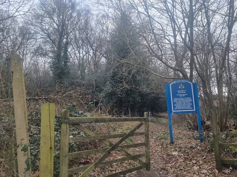 Sayes Court woods - Image 2