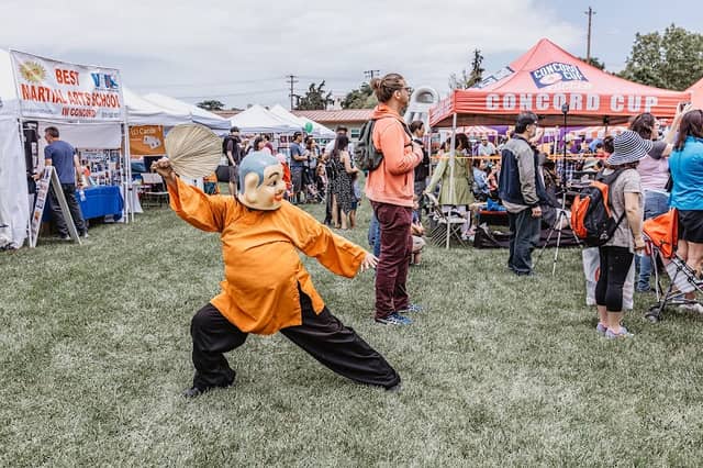 Bay Area KidFest - Image 3