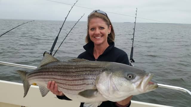 Chesapeake Bay Sport Fishing - Image 1