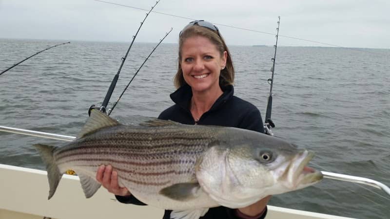 Chesapeake Bay Sport Fishing - Image 1