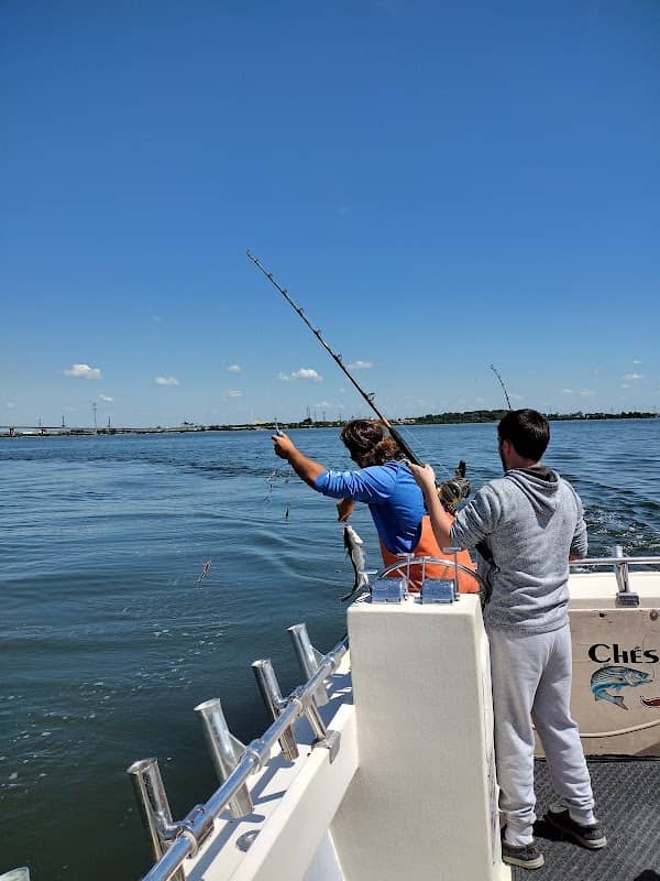 Chesapeake Bay Sport Fishing - Image 2