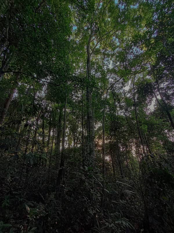 Bukit Loncek - Image 1