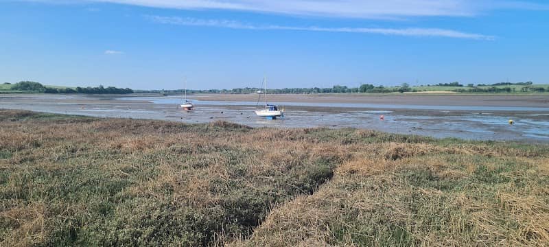 Hambleton Marsh - Image 2