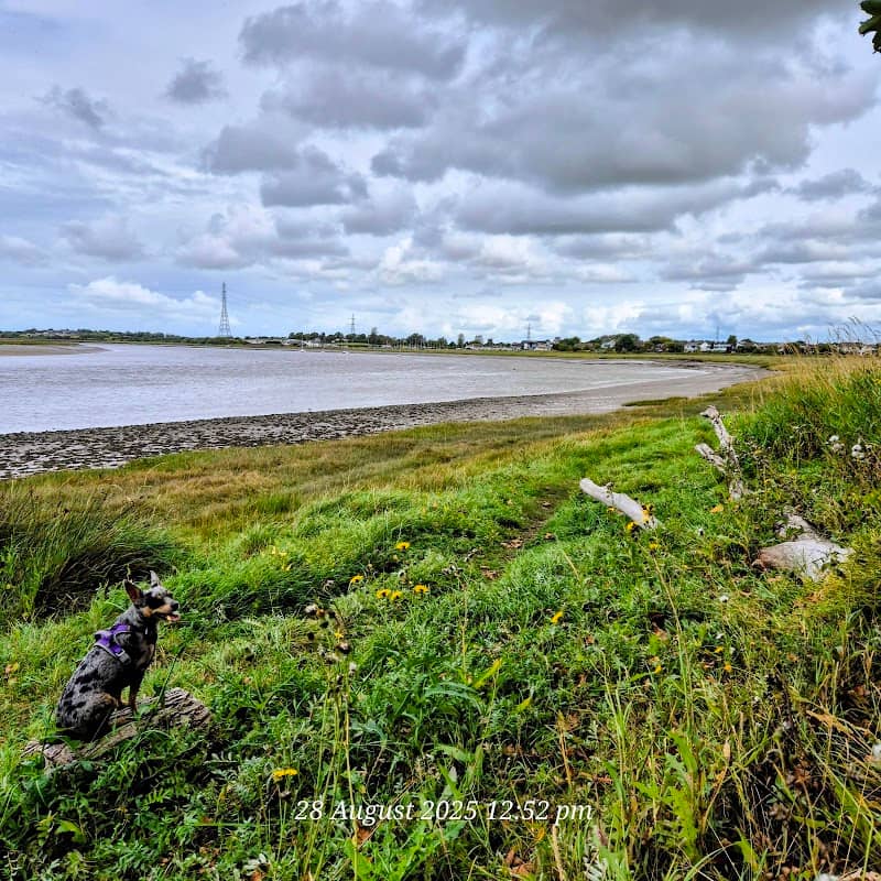 Hambleton Marsh - Image 1