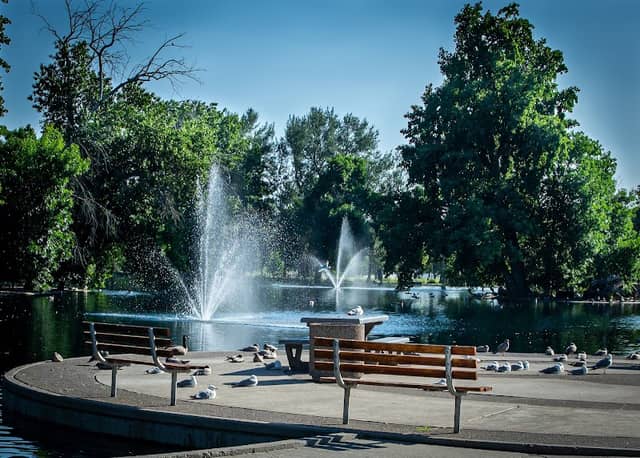 Duck Pond | Gibson Park - Image 1