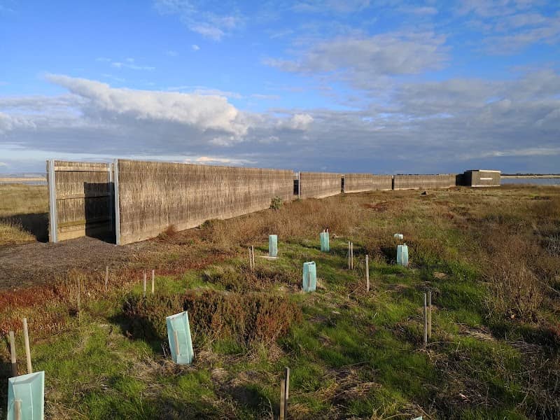Austin Road Bird Hide - Image 2