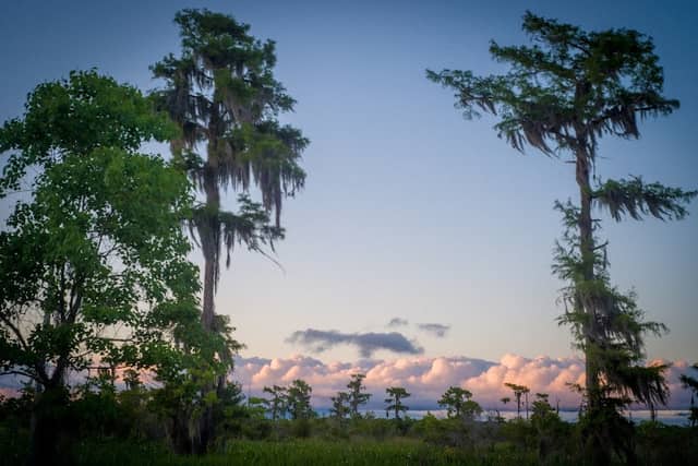 Dave's Bayou - Image 2