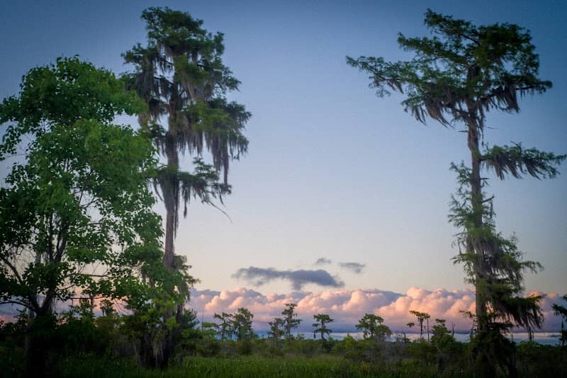 Dave's Bayou - Image 2