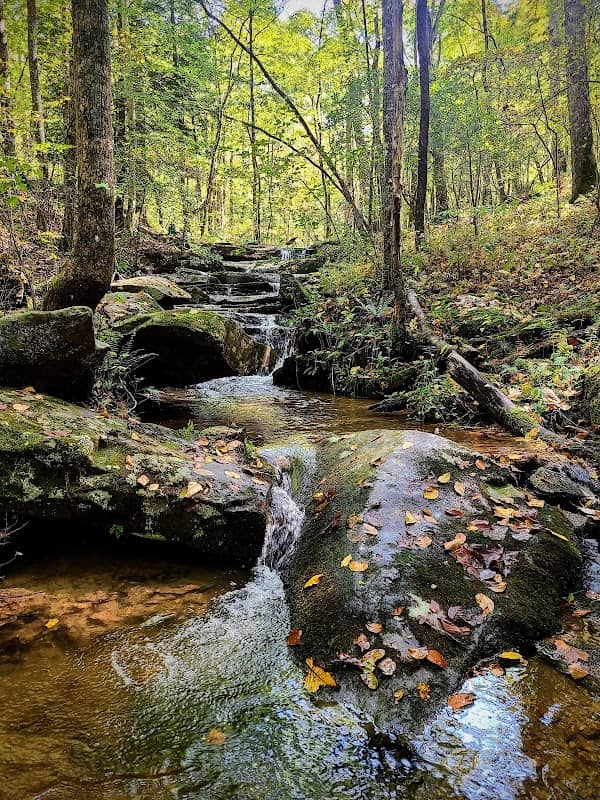Noontootla Creek - Image 1