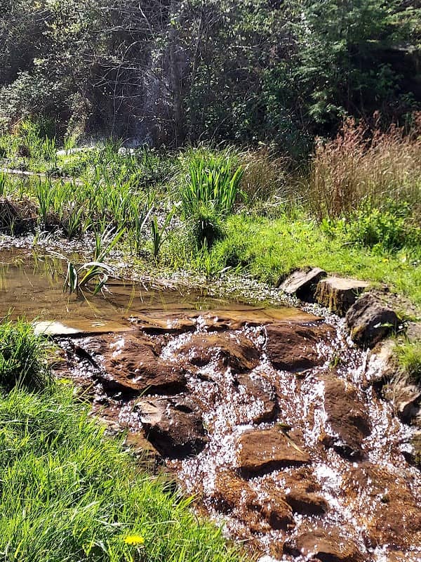 Barry Sidings Waterfall - Image 2