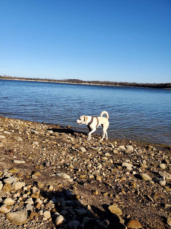 Deer Creek Dog Beach / Fishing Area - Image 2