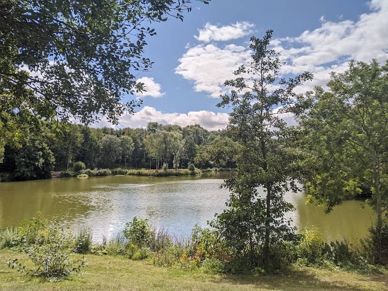 Paices Wood Country Park - Image 1