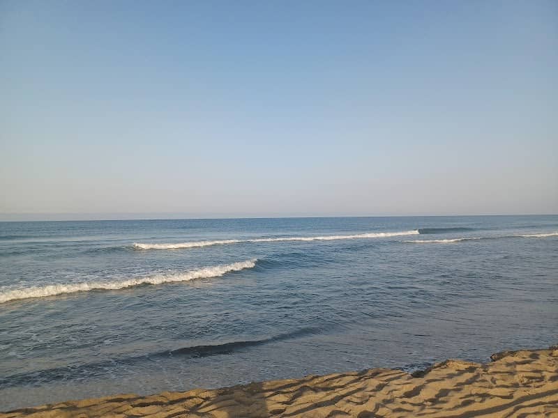 Spiaggia libera Maccarese - Image 1