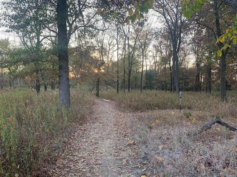 Wilson Springs Nature Preserve - Image 3