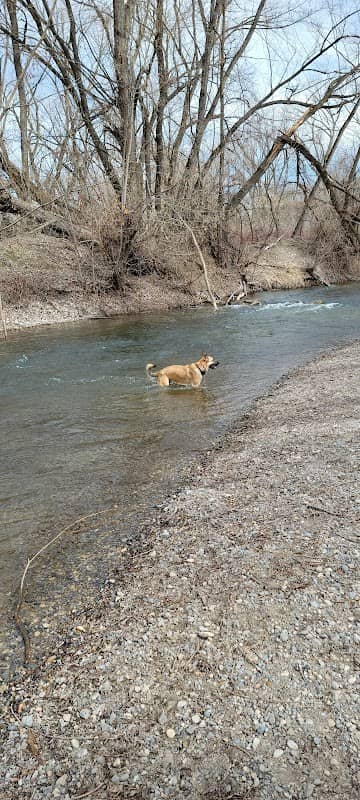 Dog Park - Image 2