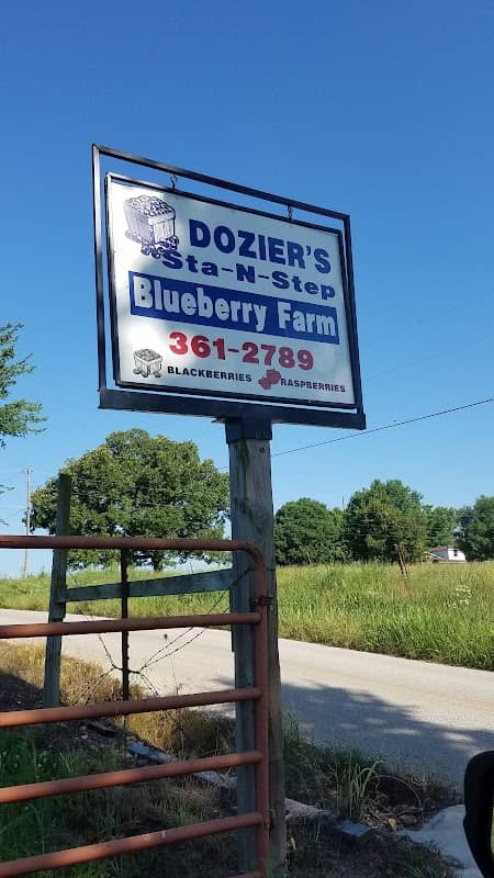 Sta-N-Step Blueberry Farm - Image 1