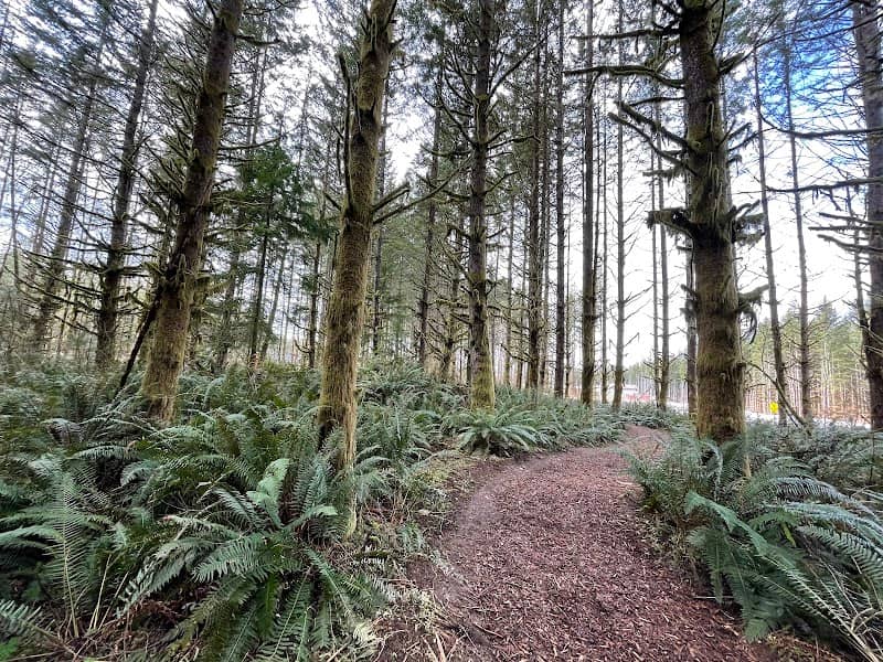 Ten Trails - Stevens Loop - Image 1