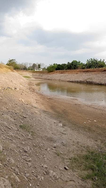 Sawah Etan Ratan Kapas - Image 1