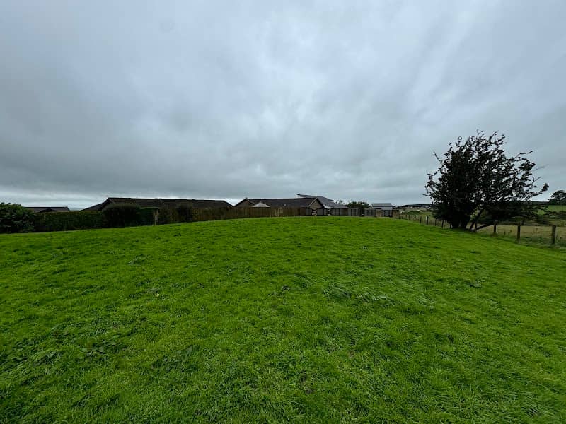 Mackie Field - Image 1